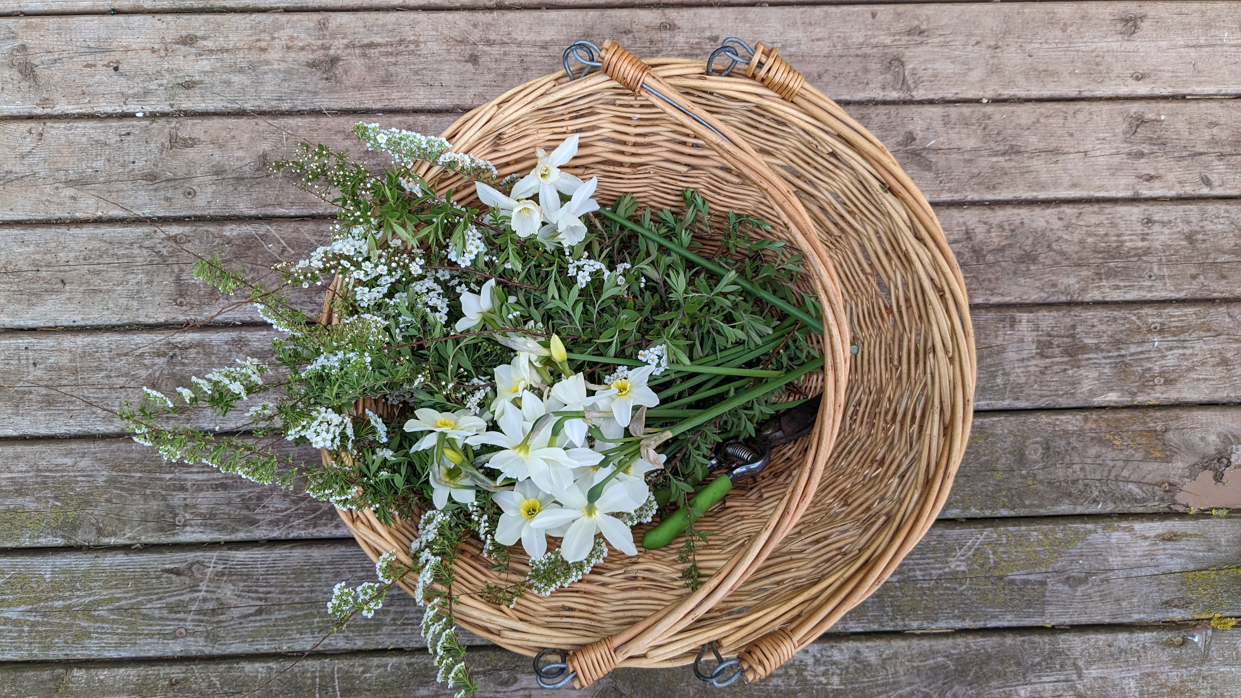 Basket of white flowers.