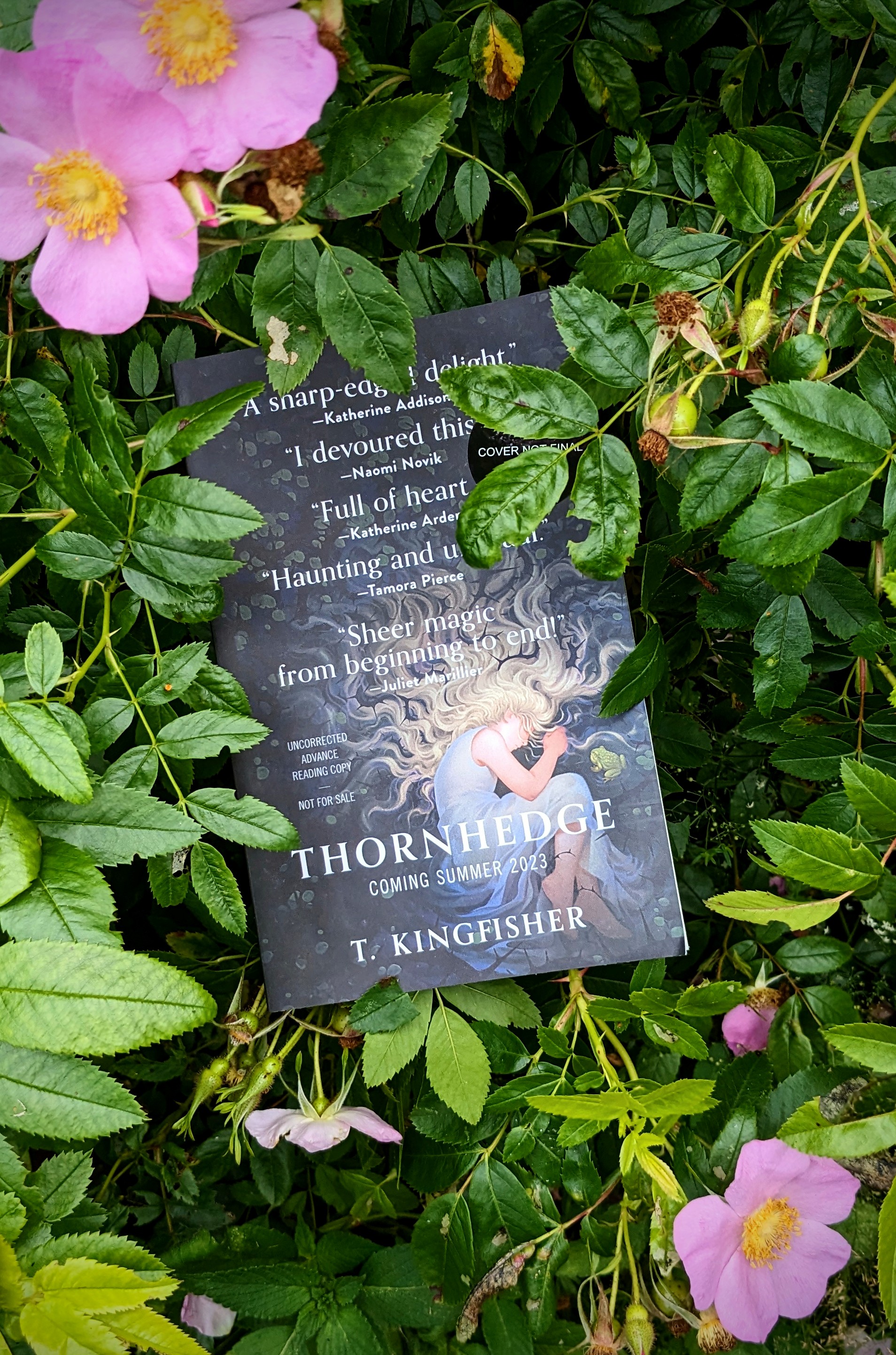 A book tucked into a wild rose bush.