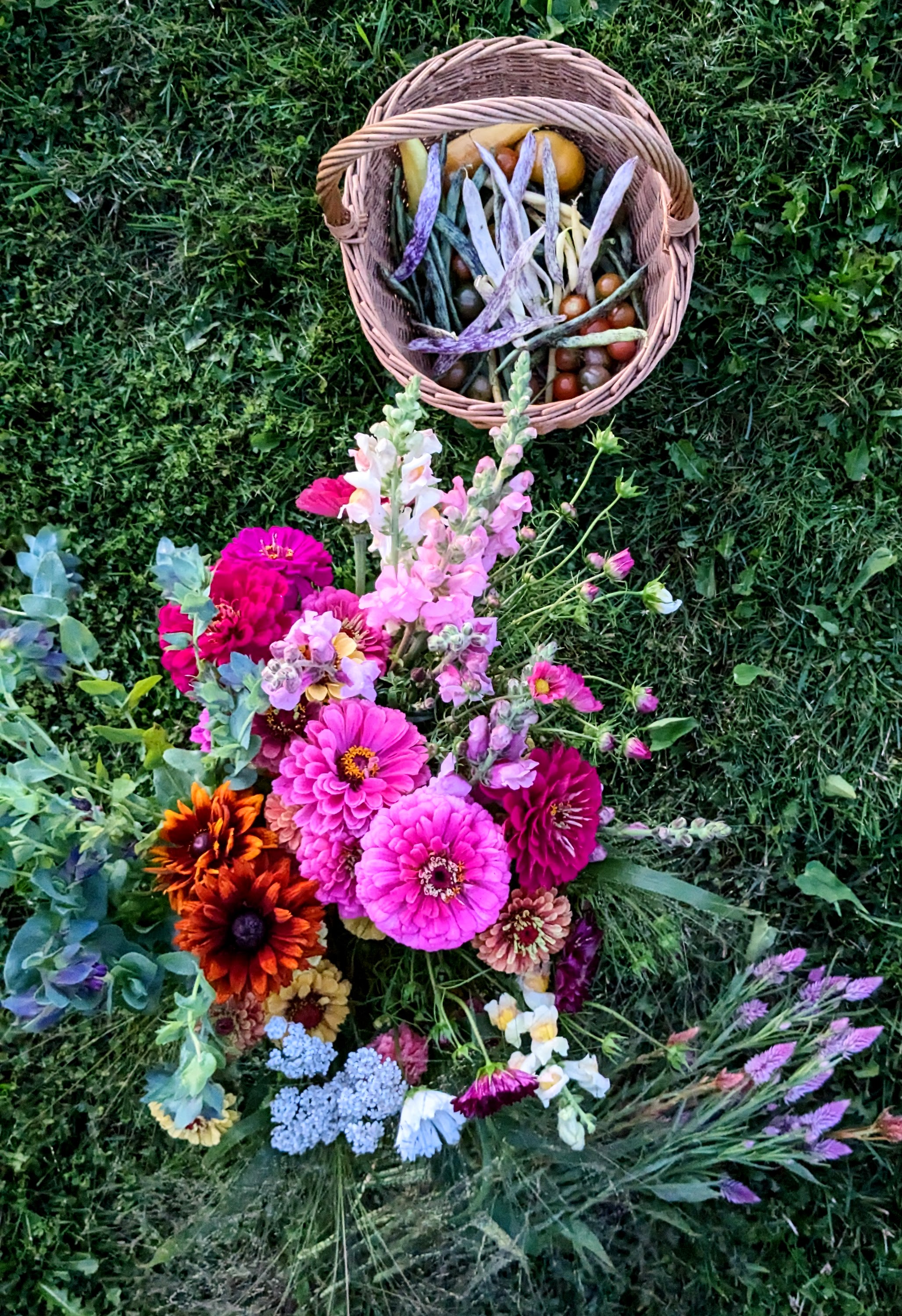Bucket of flowers and basket of beans and tomatoes.