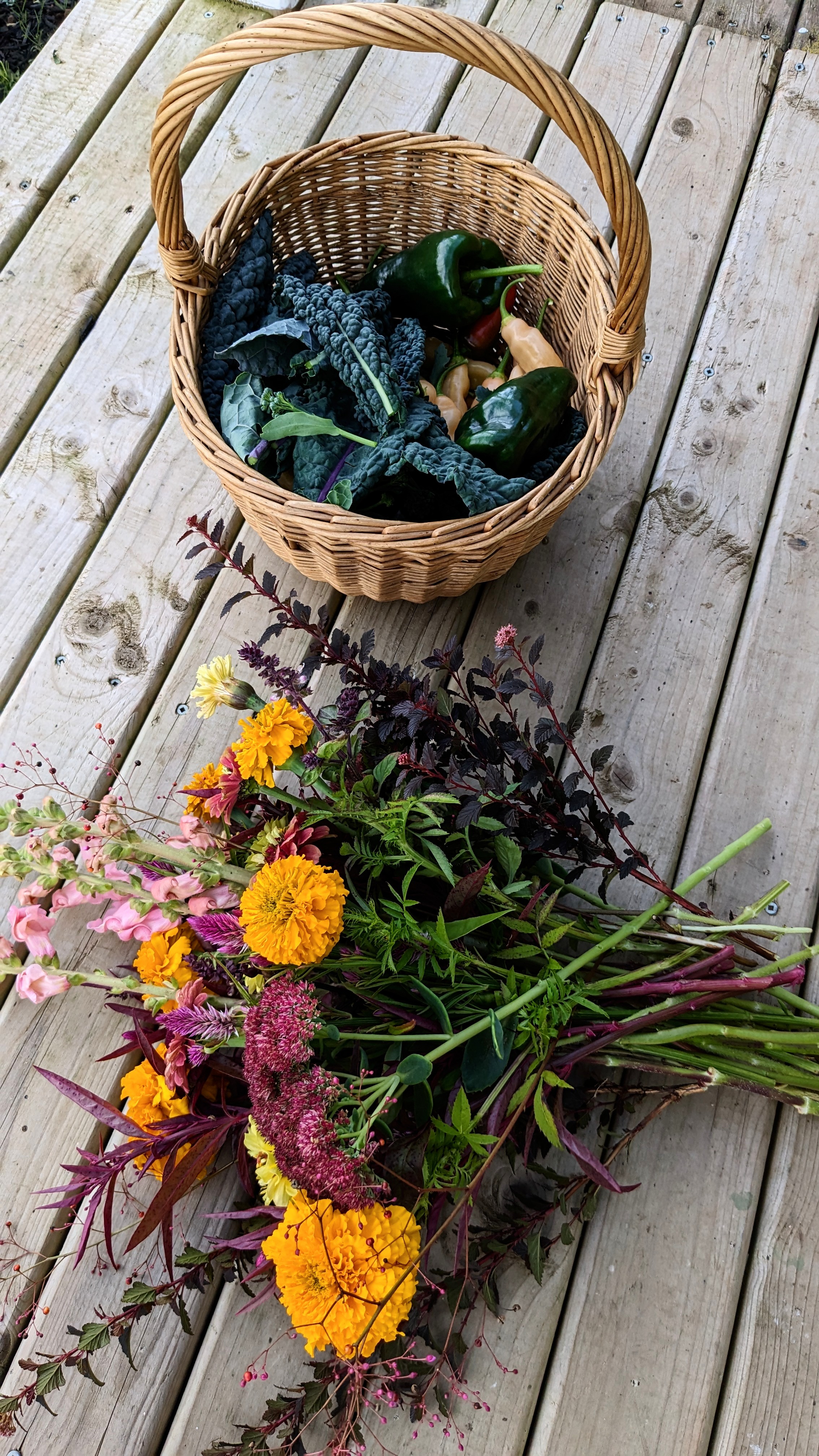Basket of peppers and kale and flowers.