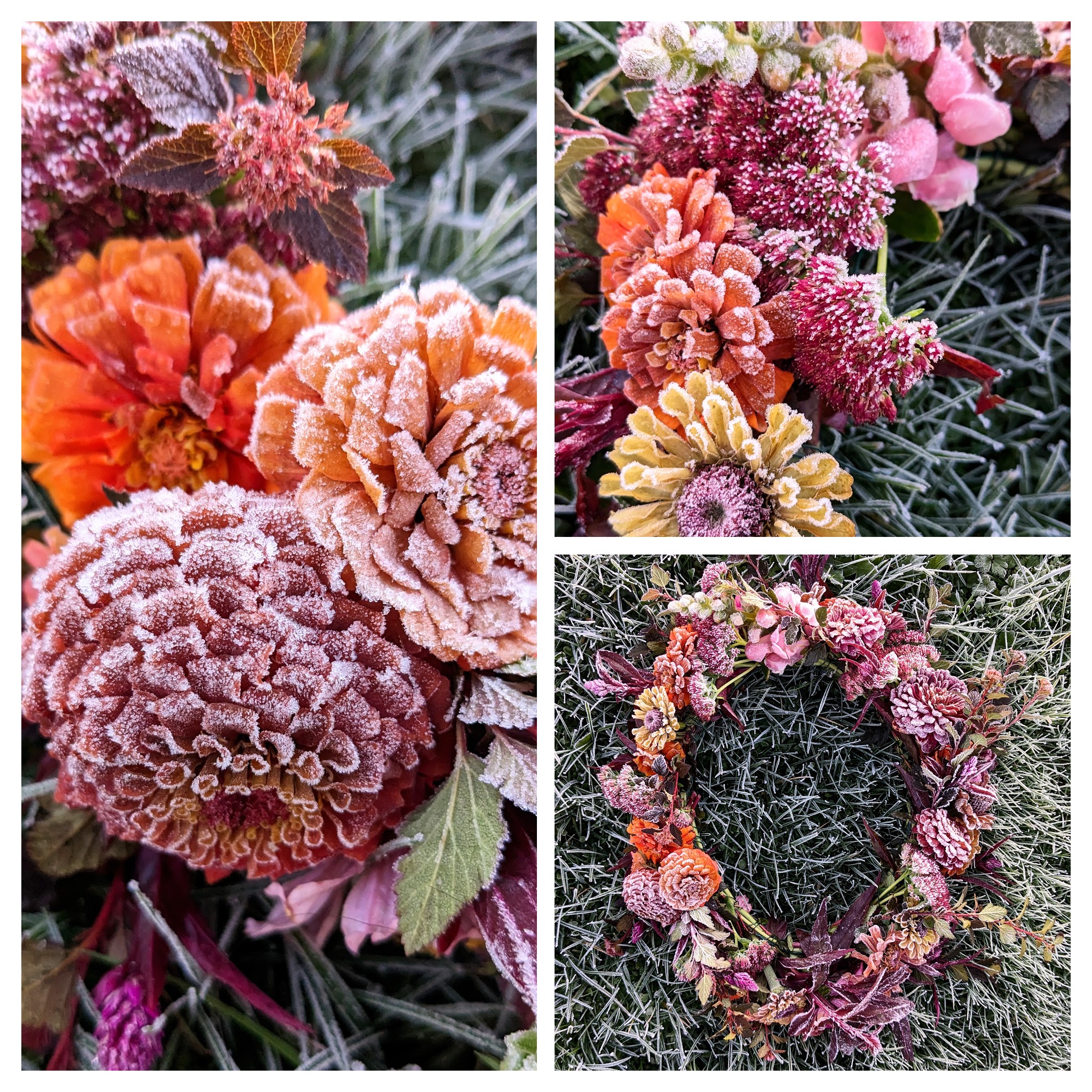 Flower wreath coated in frost.